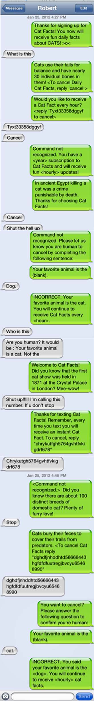 Hilarious Cat Facts Prank. Mee-wow!